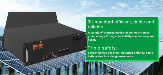 고성능 랙 마운트 리?? 배터리 51.2V 5.12KWh 6000 회로